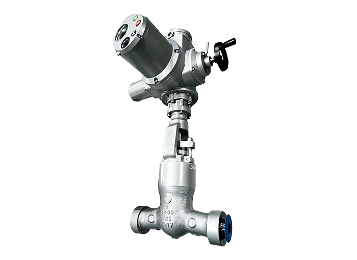 AP| 600 OS&Y Power station Gate Valve